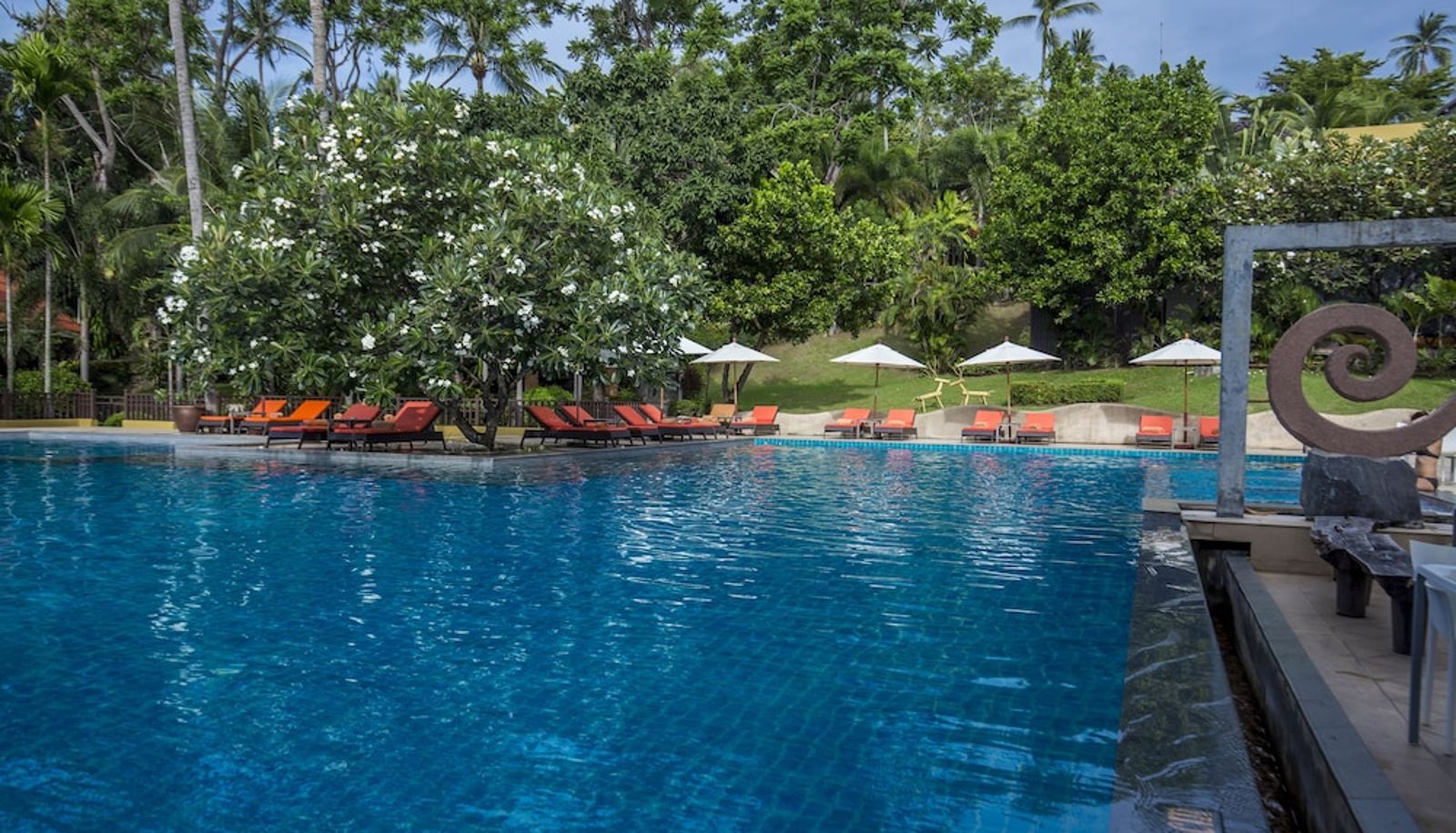 Pool - New Star Beach Resort