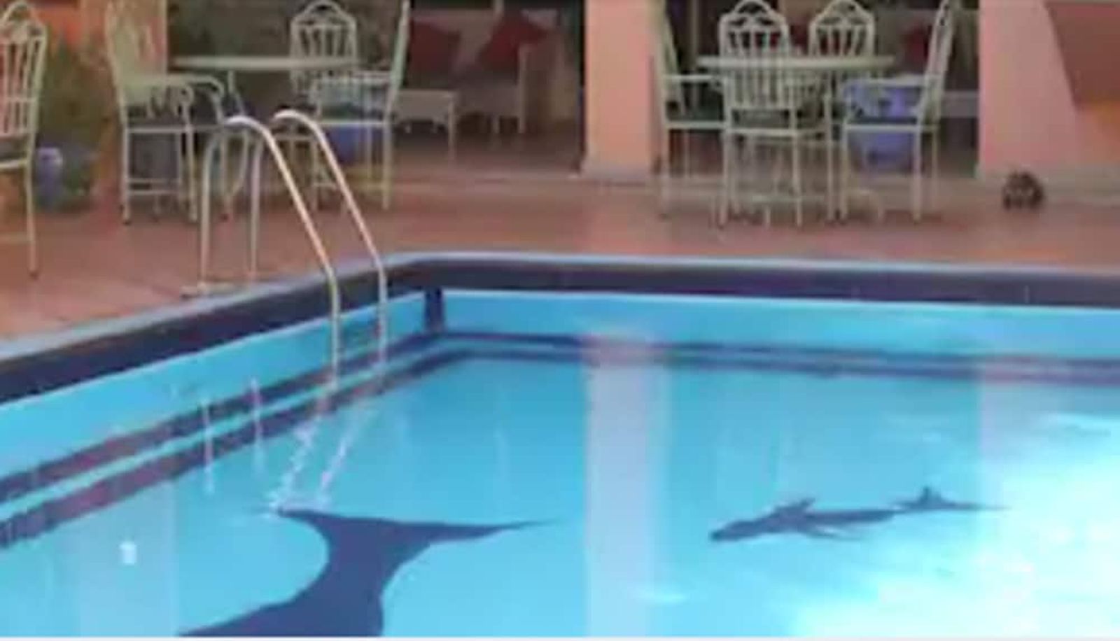 Pool - Hotel Alkabir