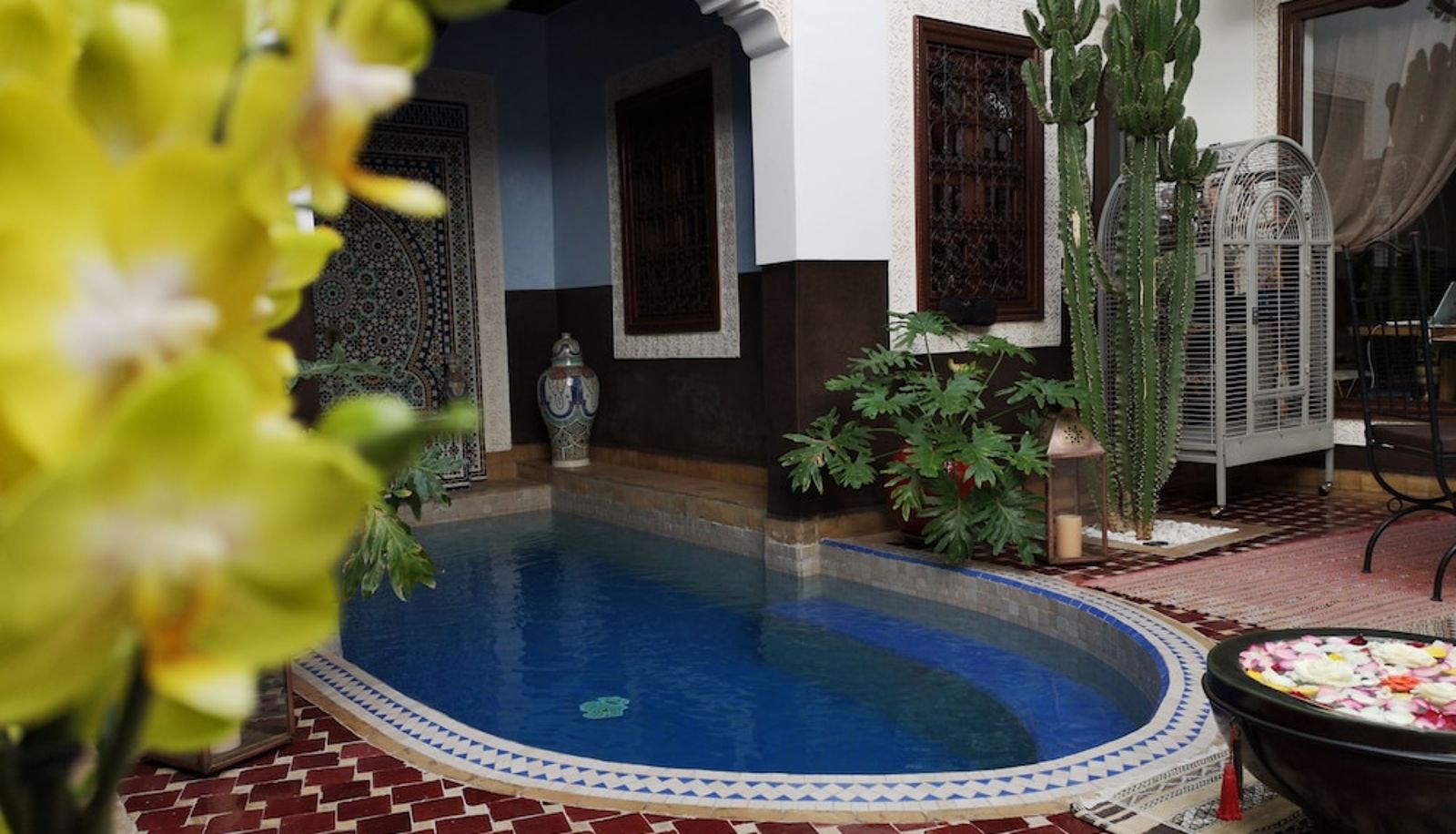 Piscina - Riad Charme d'Orient - Adults Only