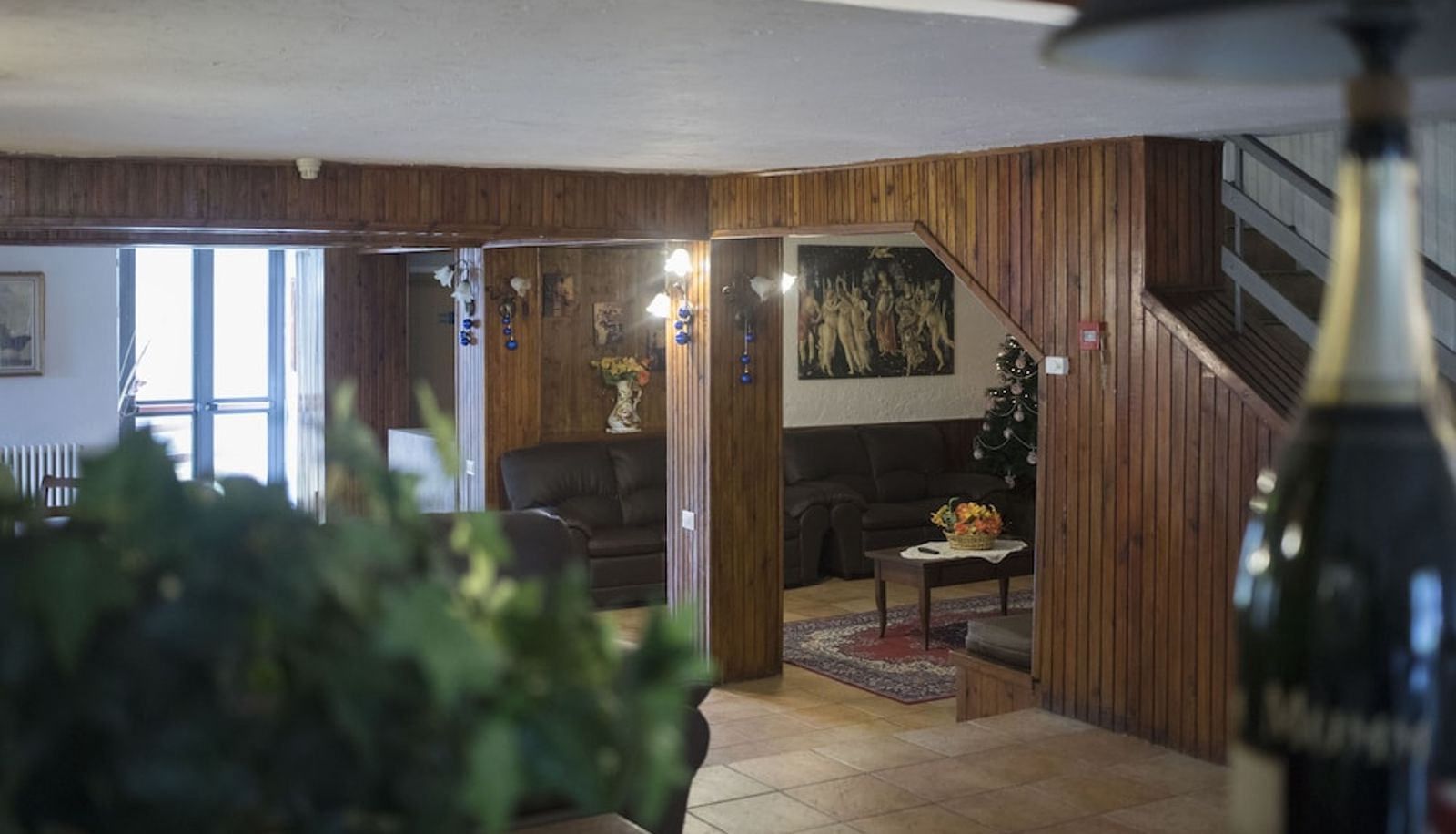 Lobby - Hotel Pinguino