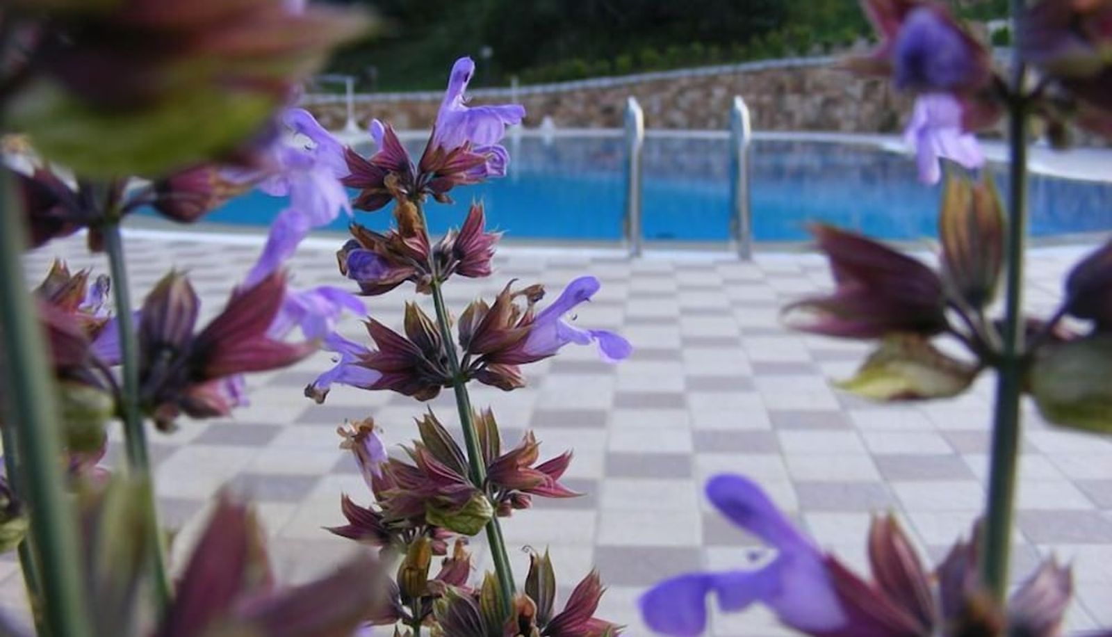 Piscina - Agriturismo Su Vrau