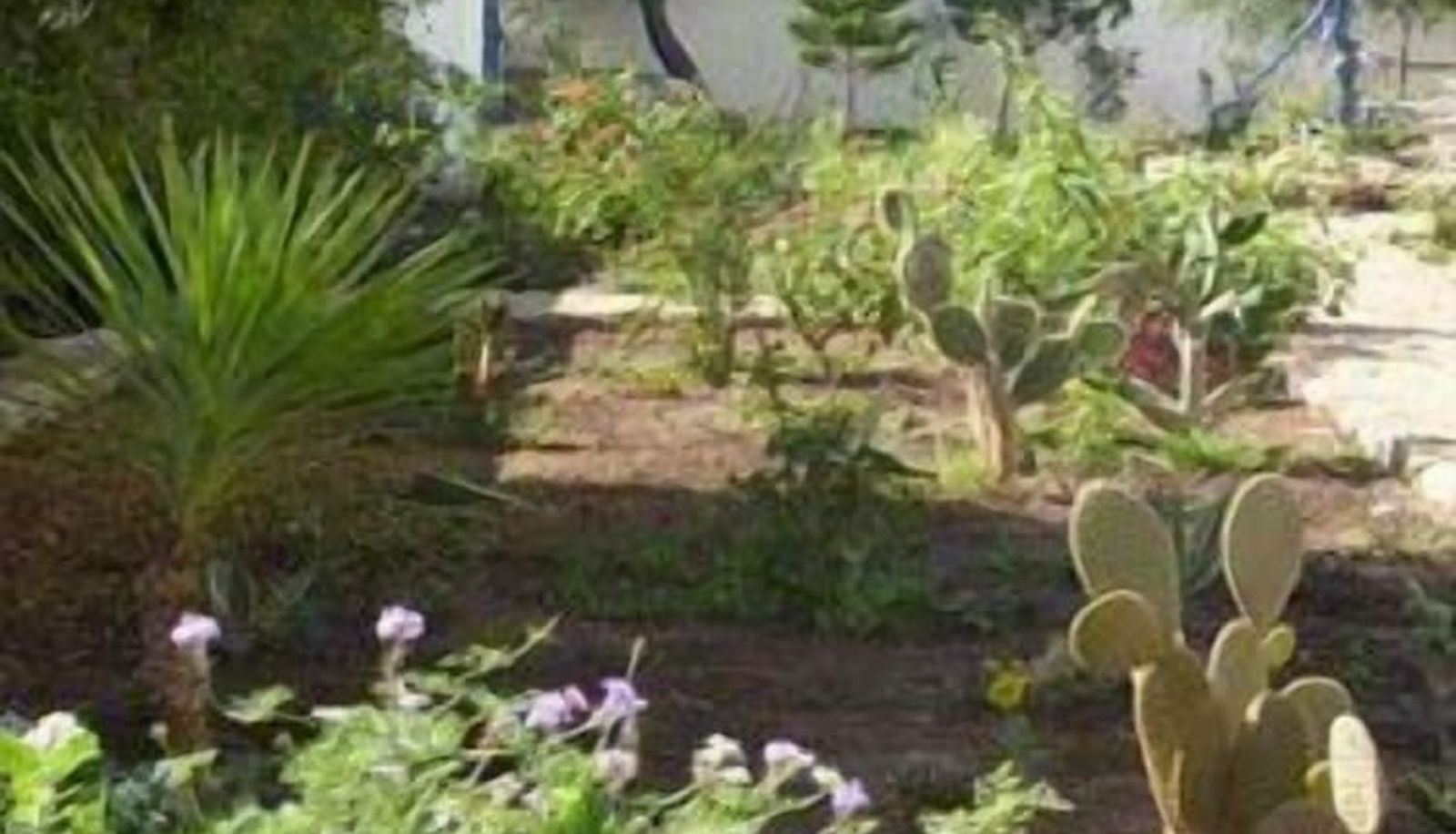 Garden - Sol E Luna