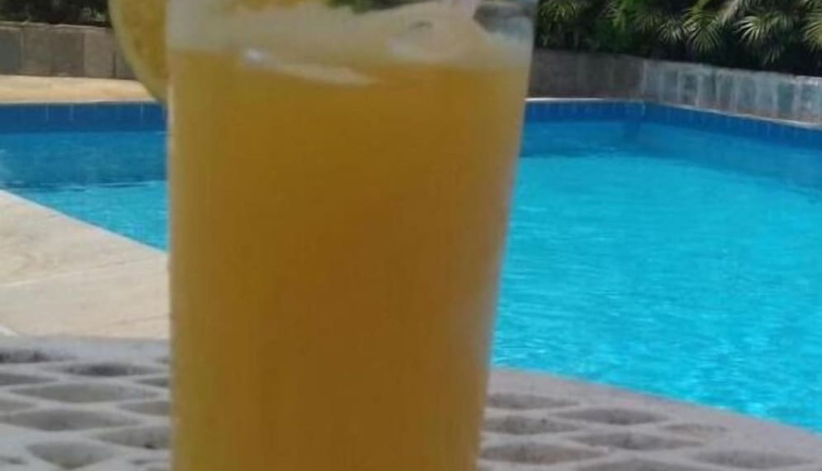 Pool - Obeid Plaza Hotel