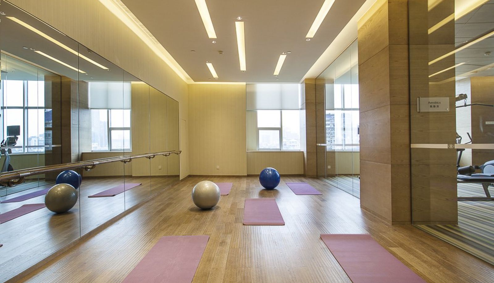 Wellness and fitness area - Somerset Wusheng Wuhan