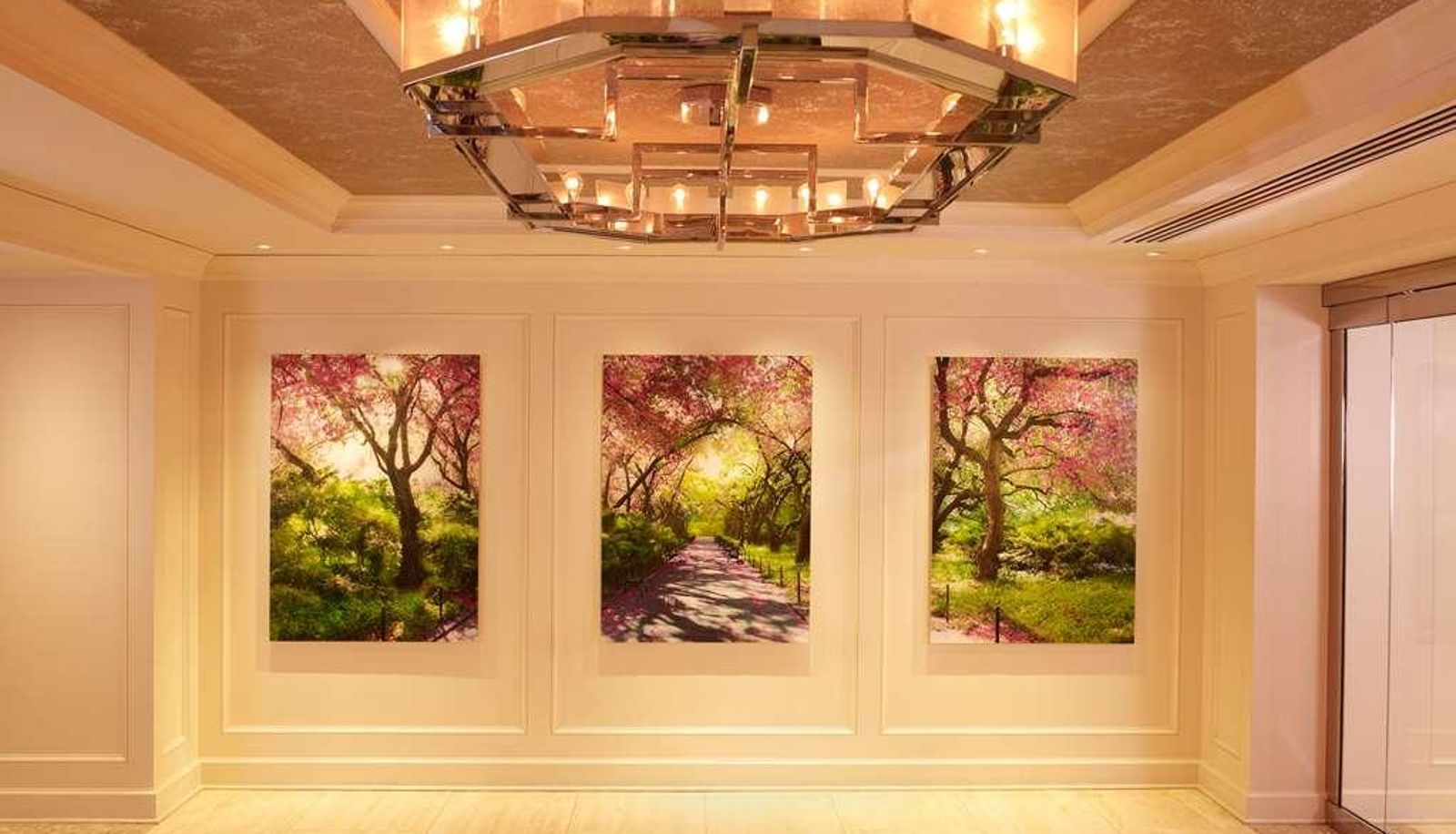 Hall - Park Central