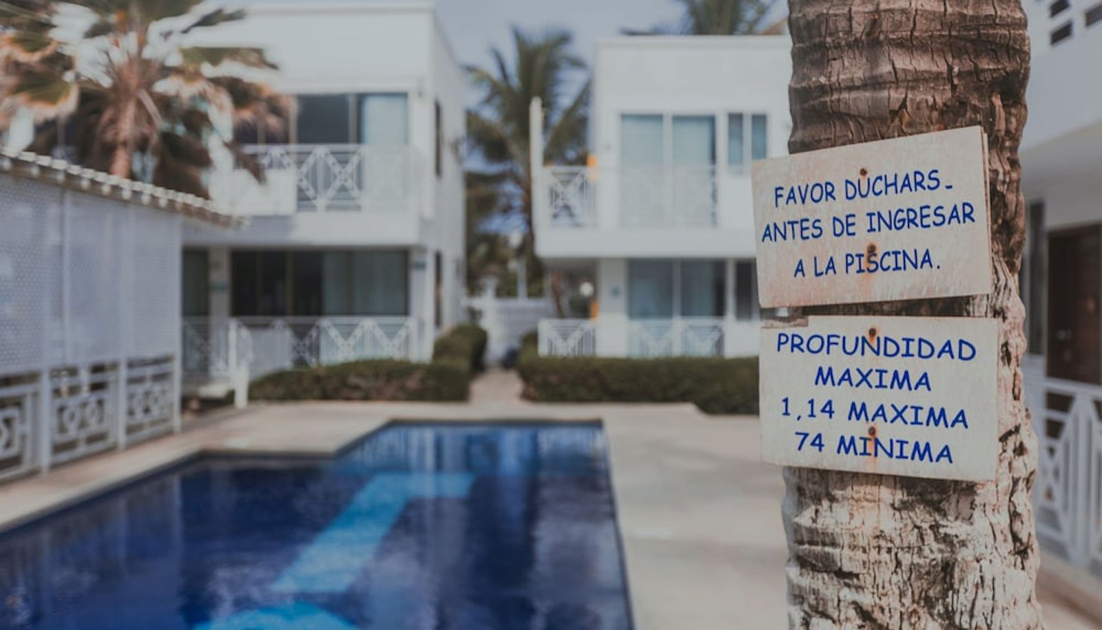 Pool - Hotel San Luis Beach House by oxoHotel