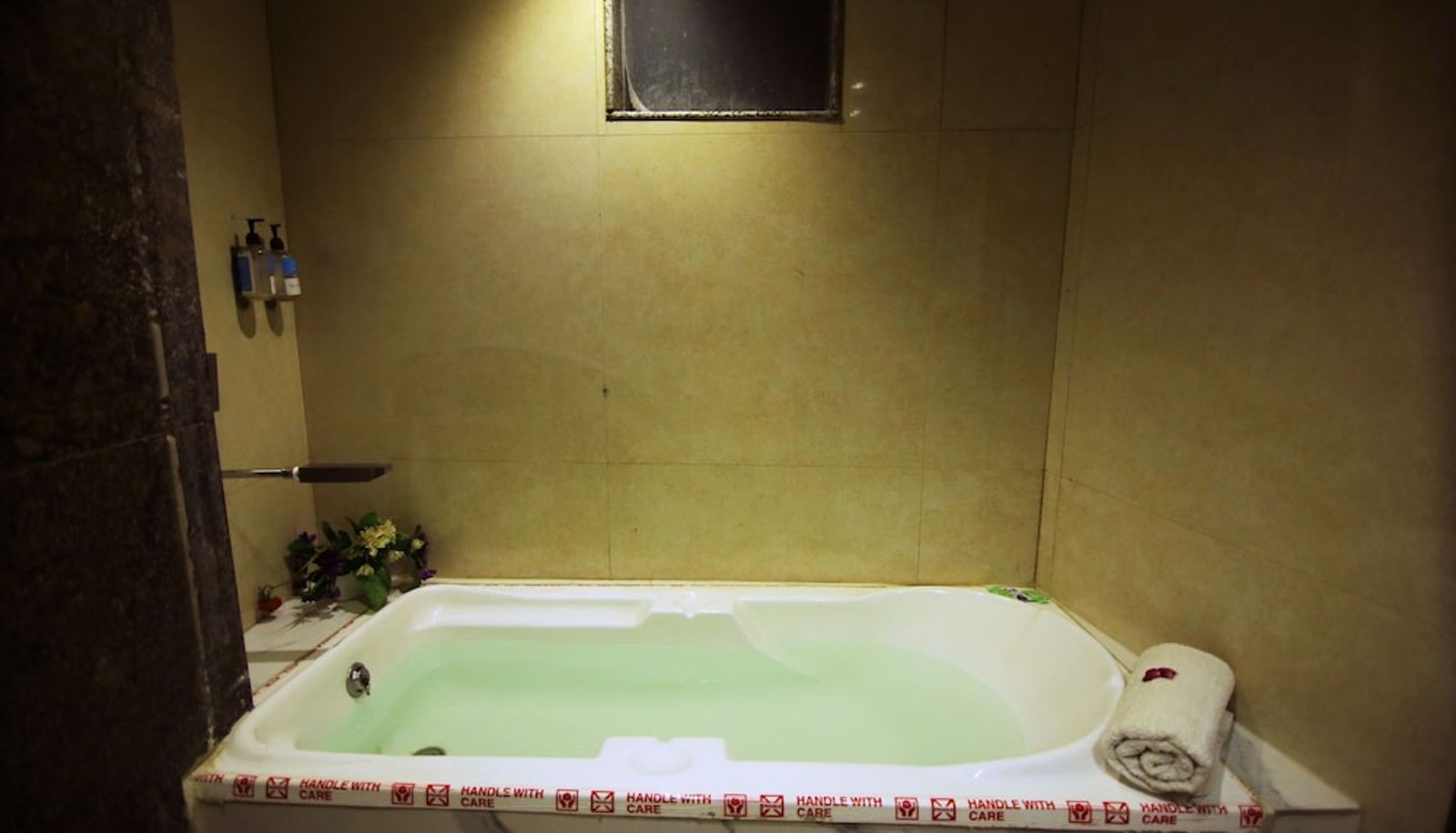 Pool - Hotel Uppal International