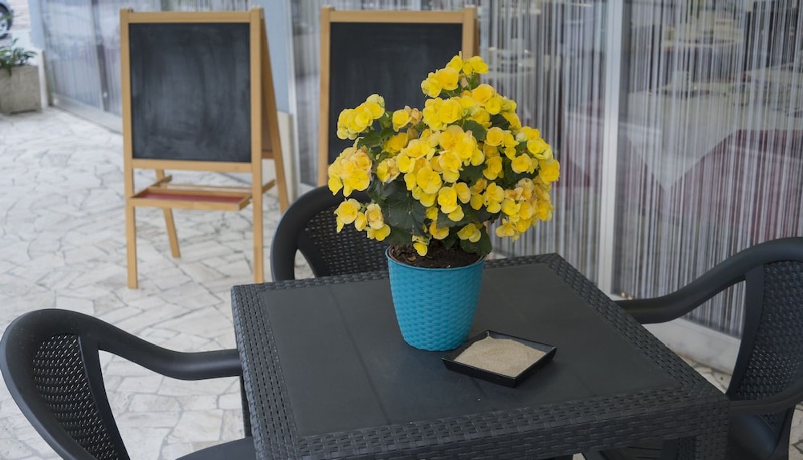 Informacje - Blue Sky