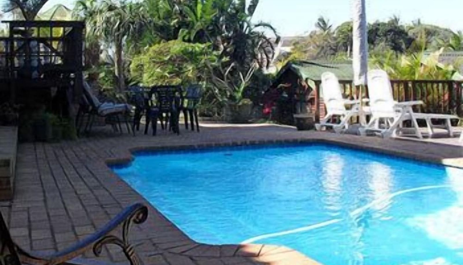 Pool - Zuider Zee Guest House