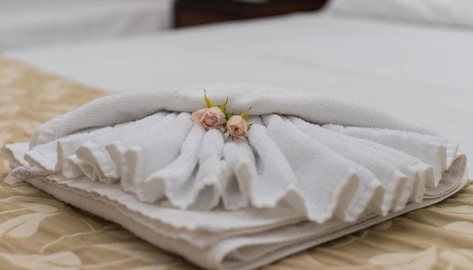 Standard room - Hotel Elo Maringa