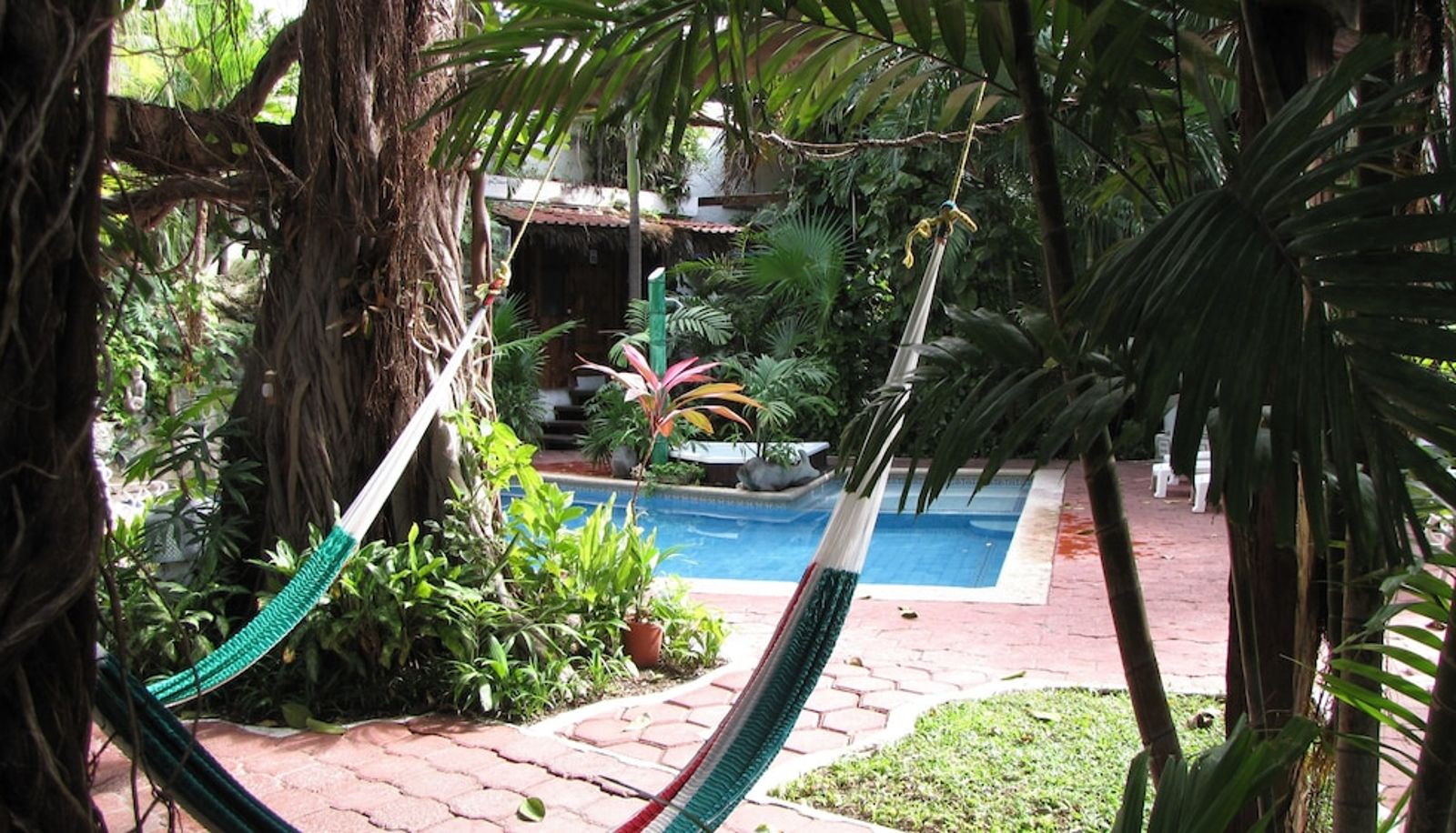 Pool - Eco-Hotel El Rey del Caribe
