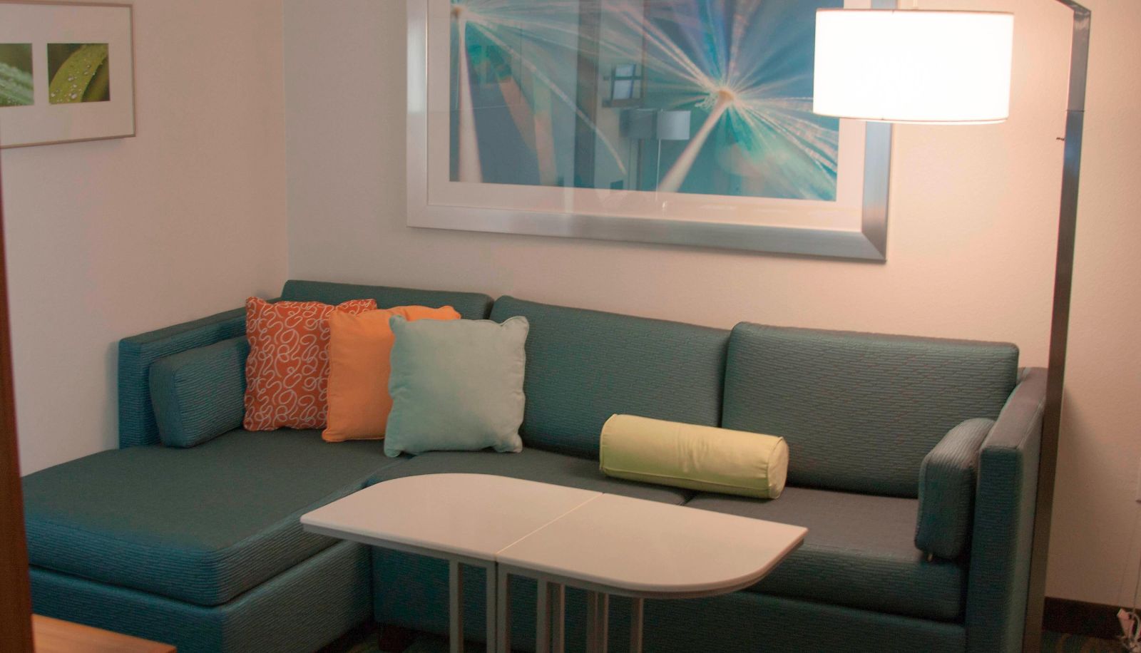 Room - SpringHill Suites by Marriott Corpus Christi