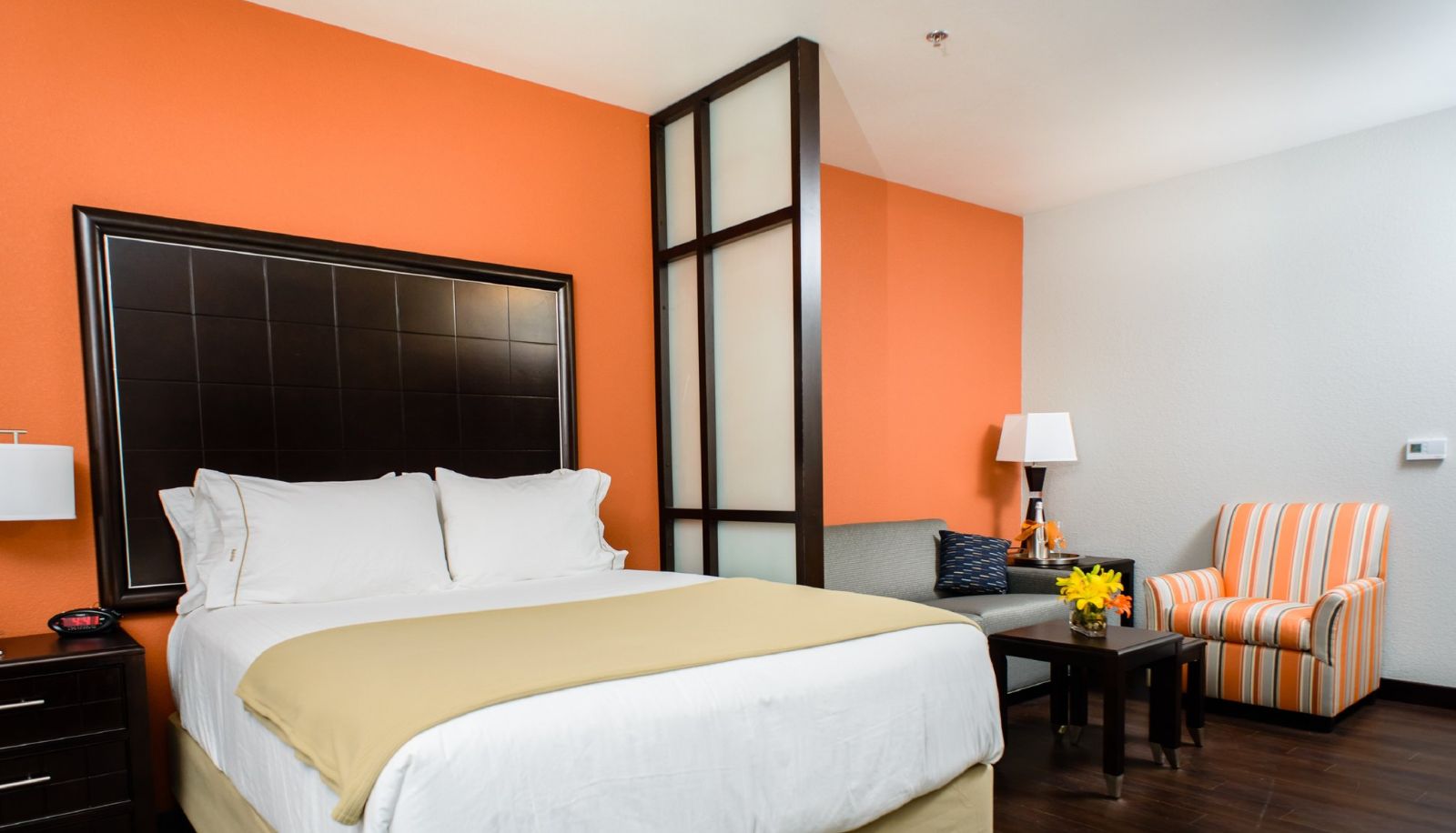 Chambre - Holiday Inn Express & Suites AUSTIN NW - ARBORETUM AREA by IHG
