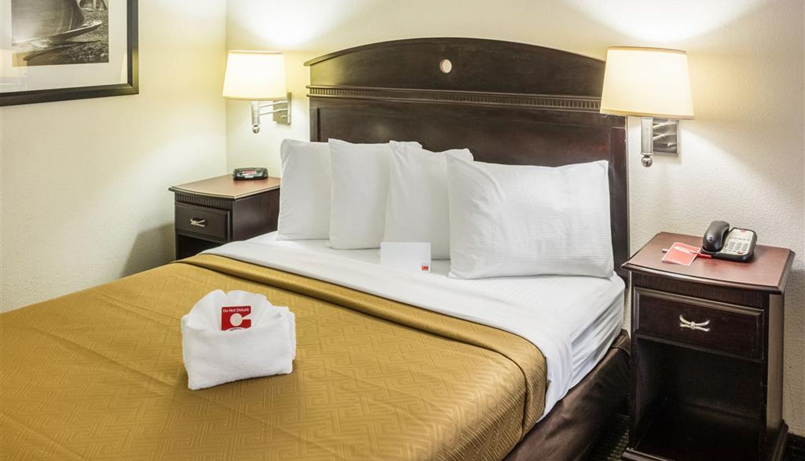 Room - Econo Lodge Palm Coast Central