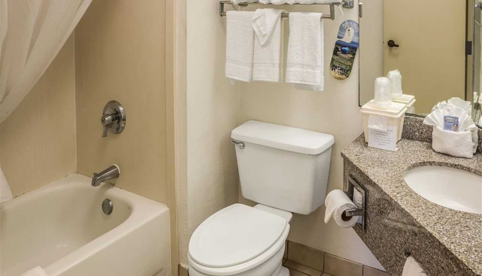 Room - Econo Lodge Palm Coast Central