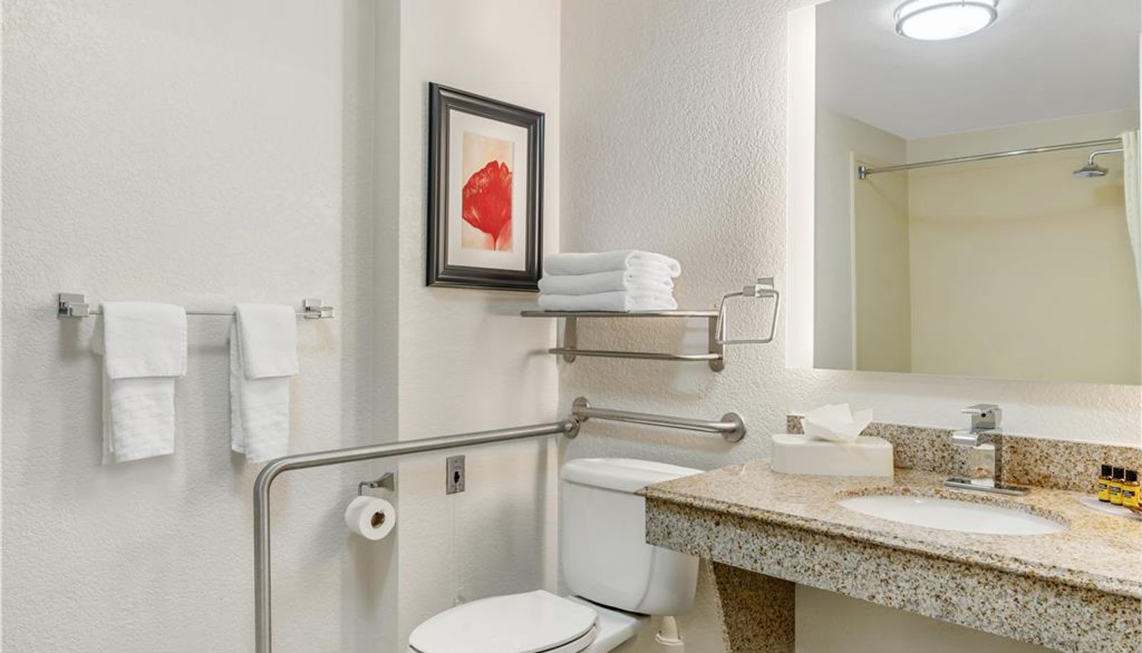 Room - Best Western Plus JFK Inn & Suites