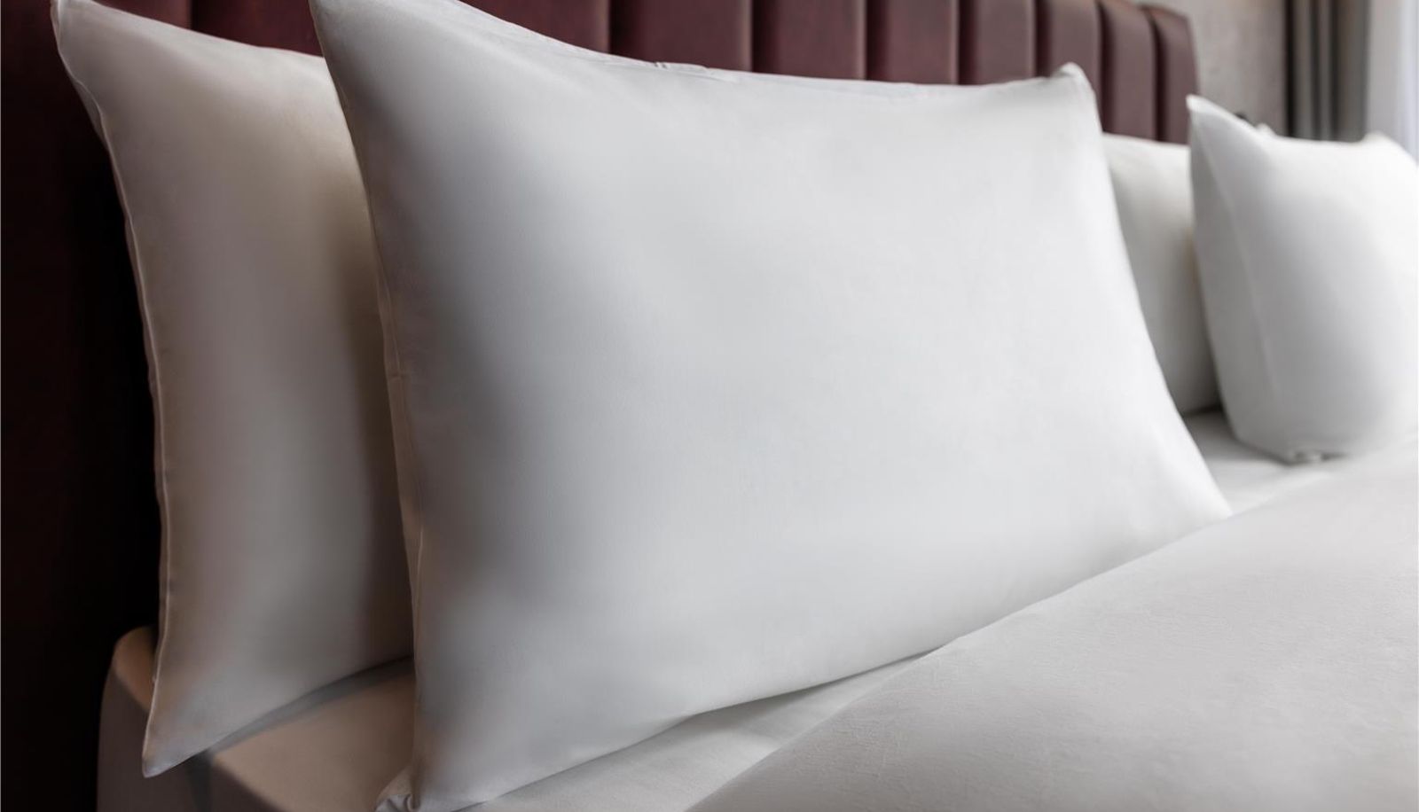 Suite - Radisson Blu Hotel Rockland RudrapurIN
