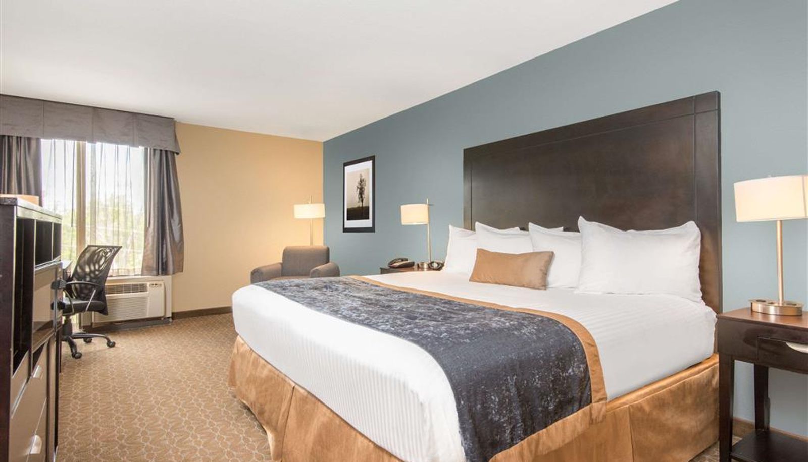 Zimmer - Wyndham Garden Texarkana