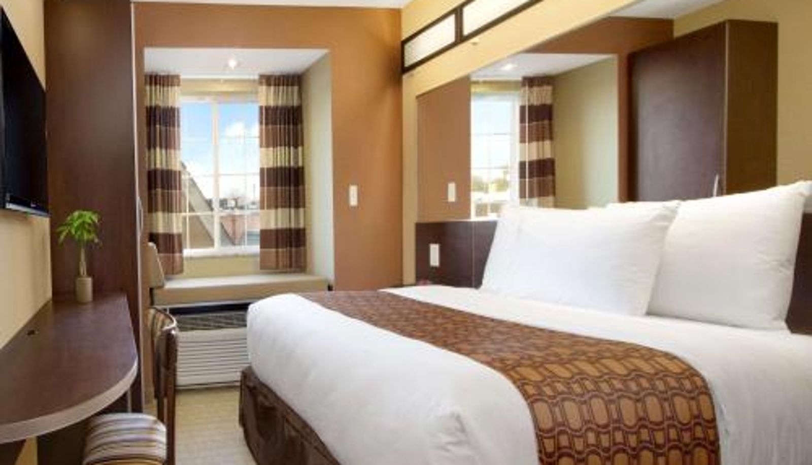 Room - Microtel Inn & Suites by Wyndham