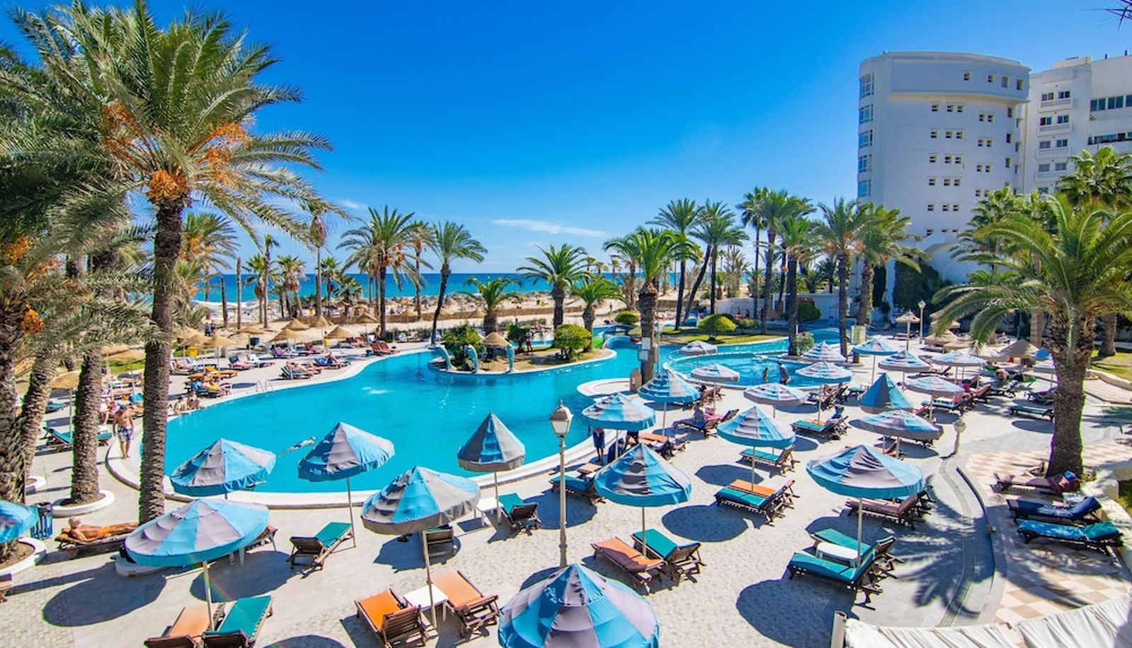 Pool - Riadh Palms Resort & Spa