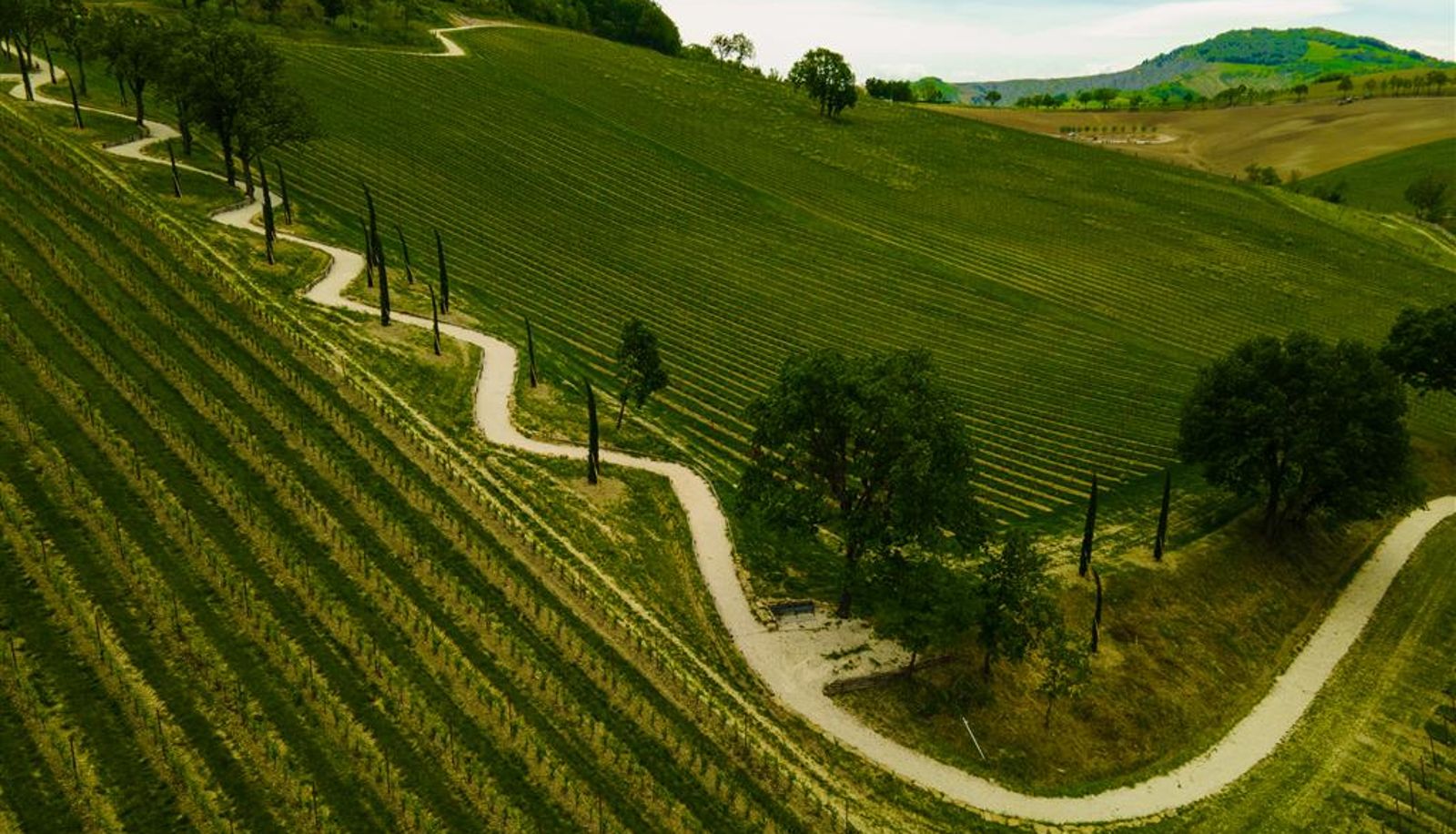 Wellnessbereich - Palazzo di Varignana Resort & SPA