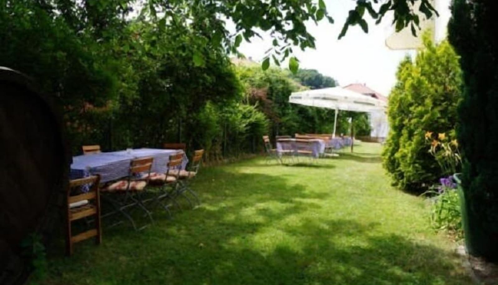 Tuin - Hotel Am Kurpark