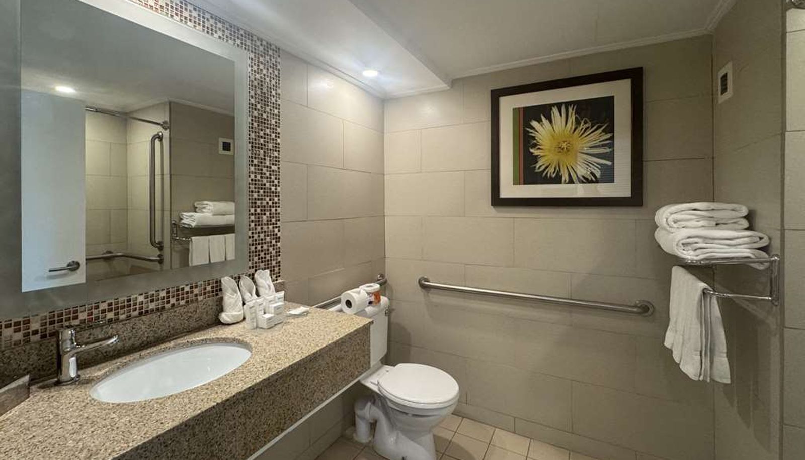 Camera - Radisson Aquatica Resort Barbados