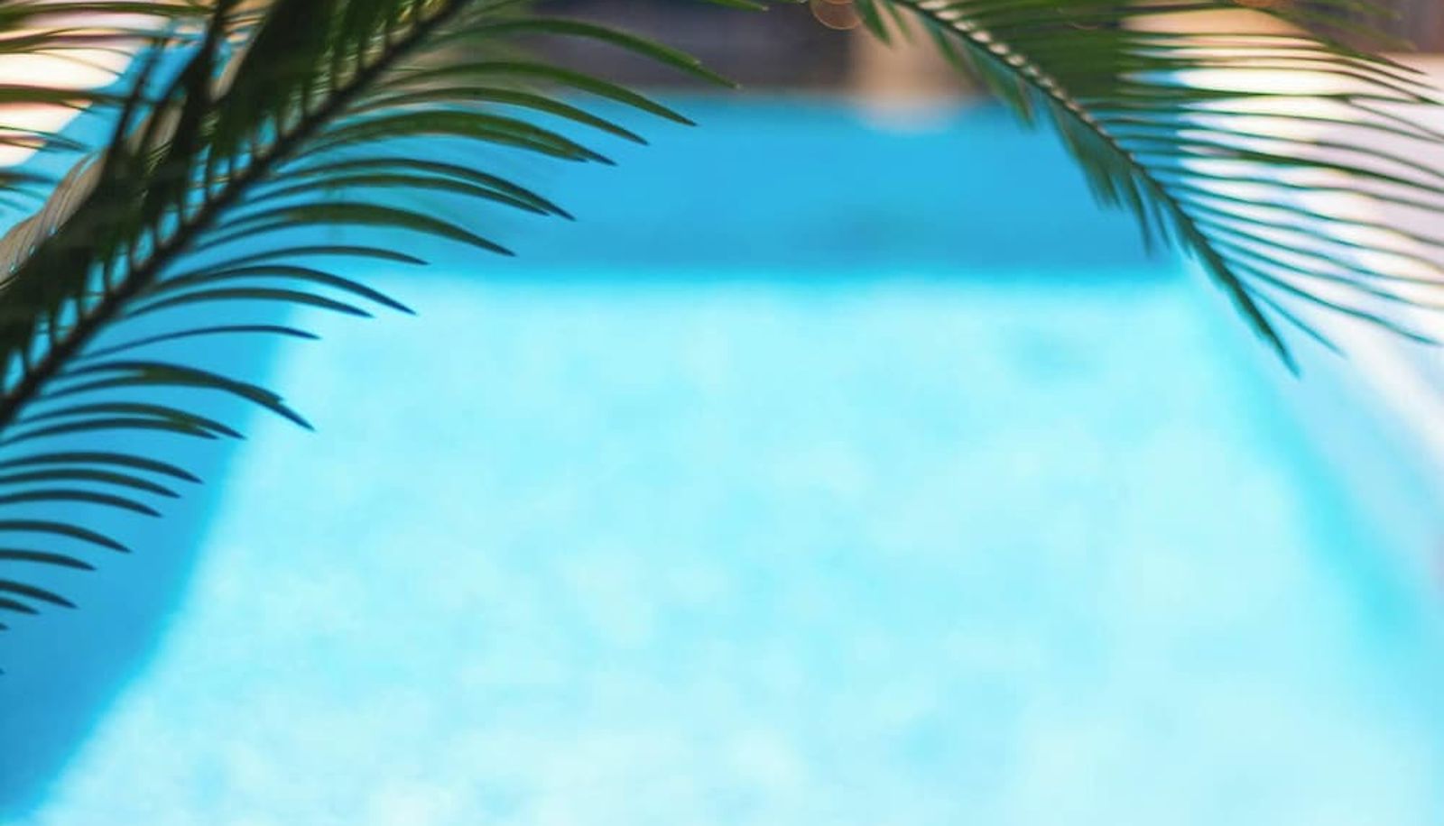 Pool - Prodeo Hotel & Lounge
