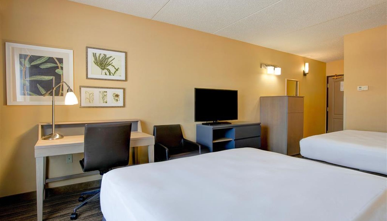 Pokój - Comfort Inn & Suites St. Paul Northeast
