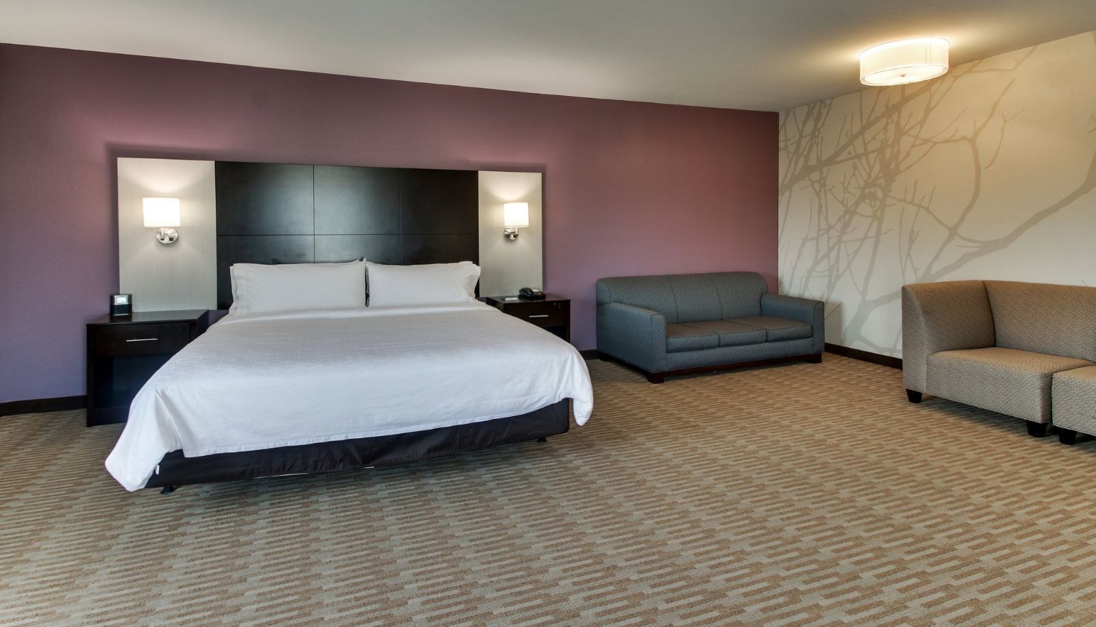 Pokój - Holiday Inn Express CHEEKTOWAGA NORTH EAST by IHG