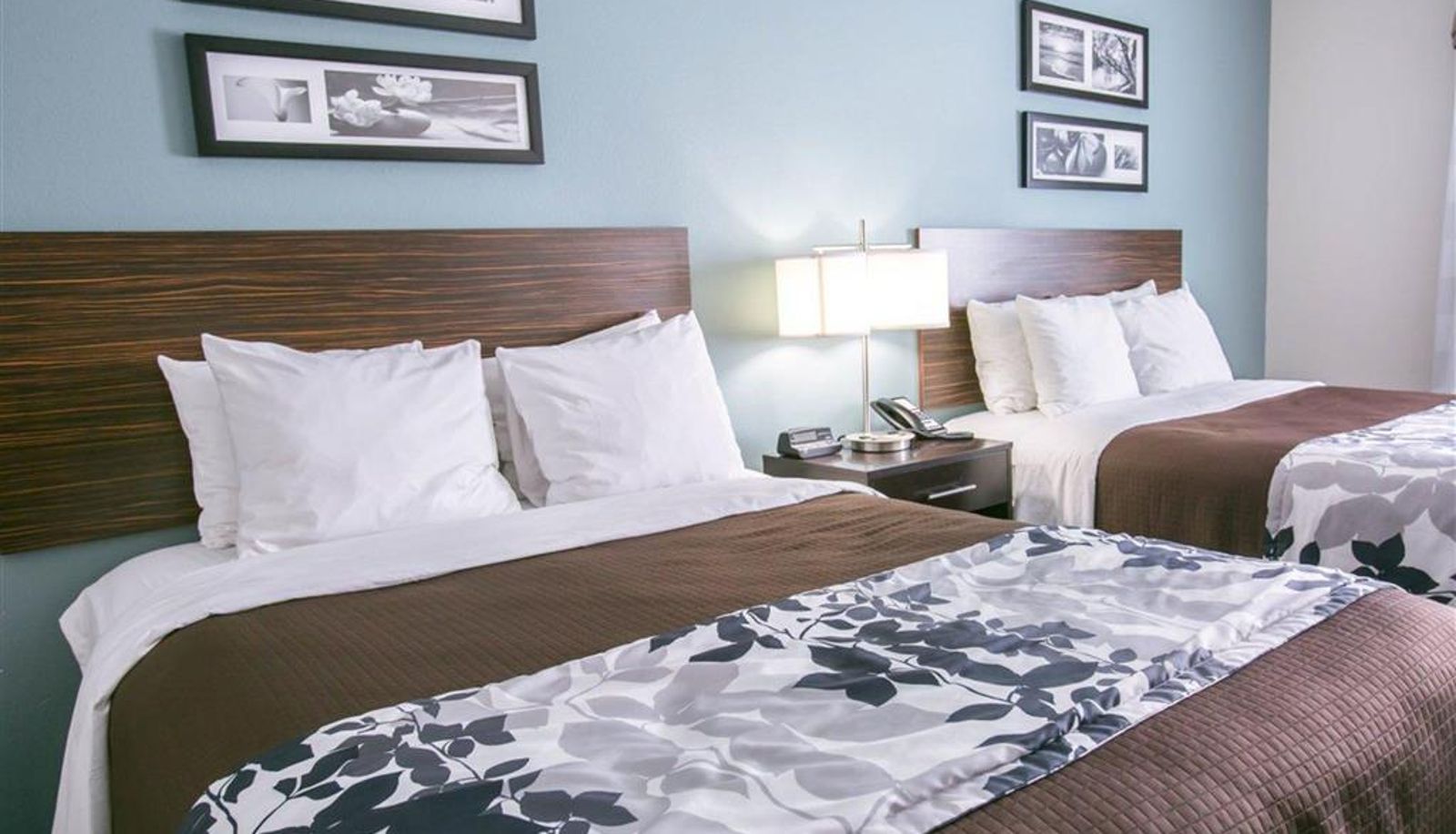 Zimmer - Sleep Inn & Suites Austin North-Pflugerville