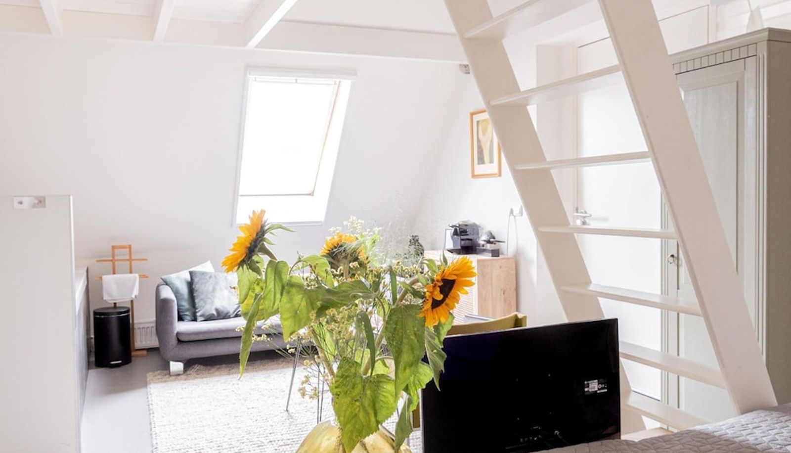 Info - De Vijf Suites