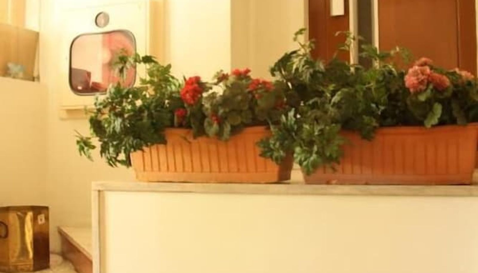 Hall - Hotel São Nicolau