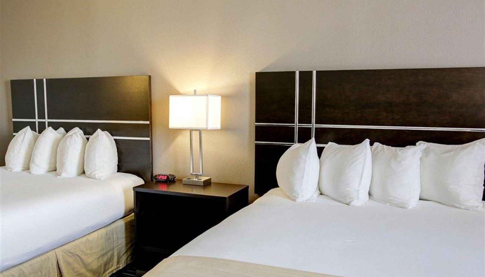 Zimmer - Quality Inn & Suites Bryan-College Station