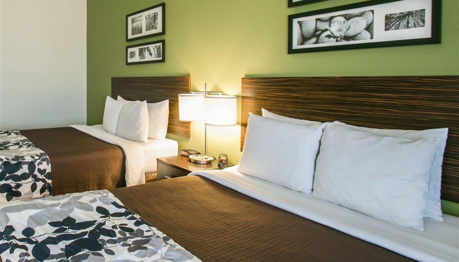 Room - Sleep Inn & Suites Dripping Springs - Austin Area