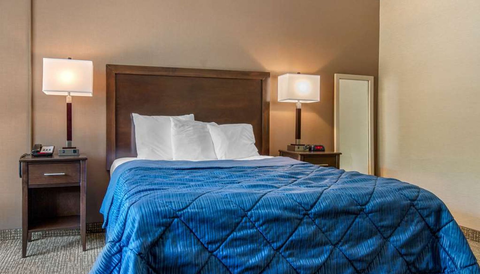 Standard room (double) - Rodeway Inn Chicago North Shore - Lincolnwood