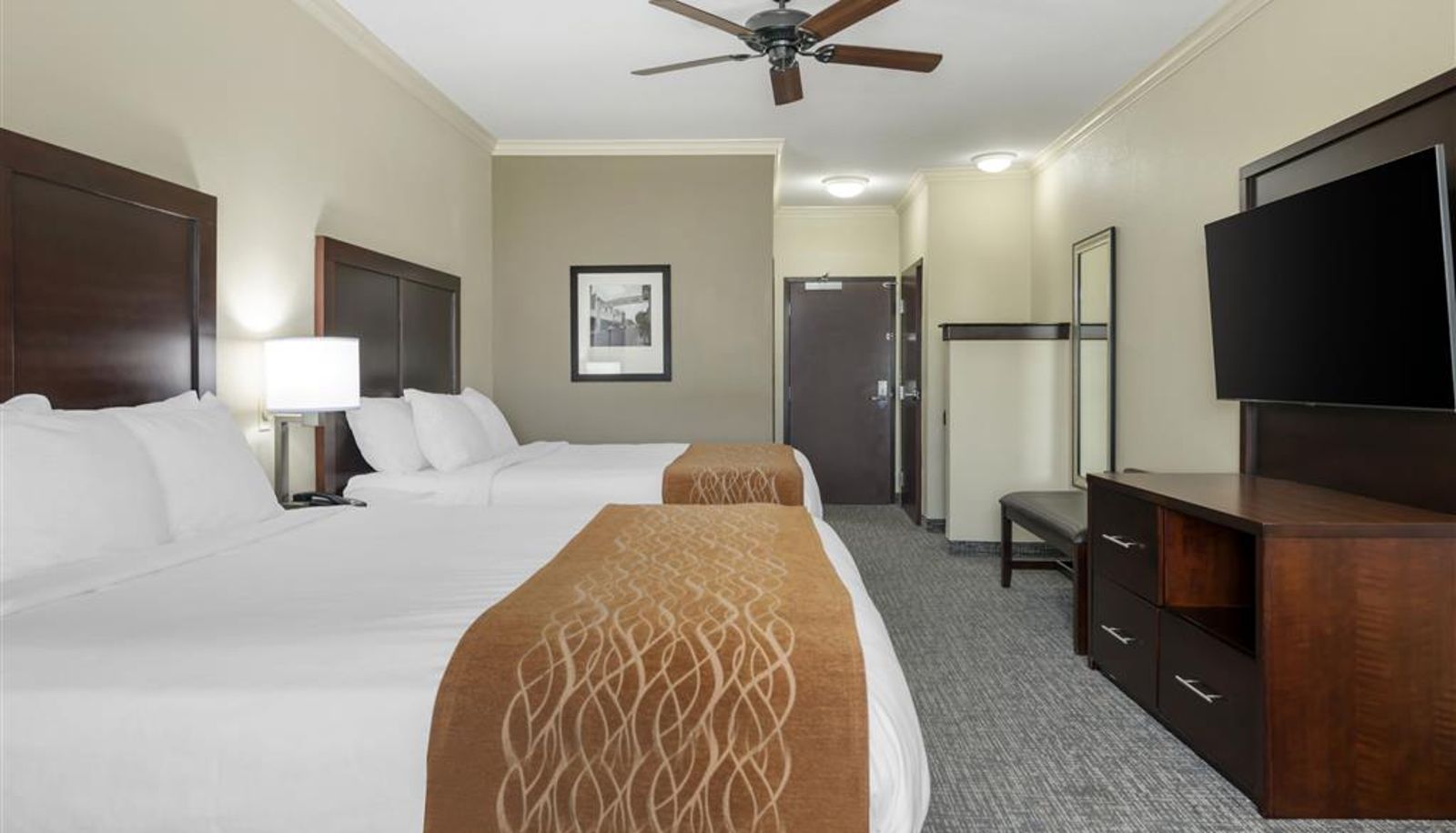 Zimmer - Comfort Inn & Suites Fort Worth - Fossil Creek