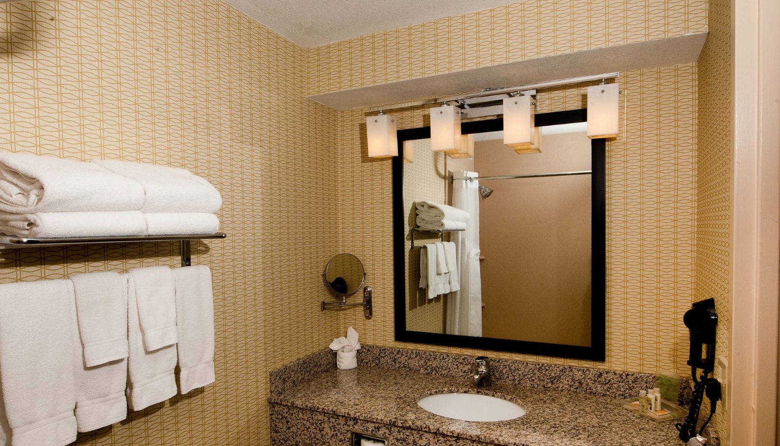 Camera - Holiday Inn ST. LOUIS ARPT WEST-EARTH CITY by IHG