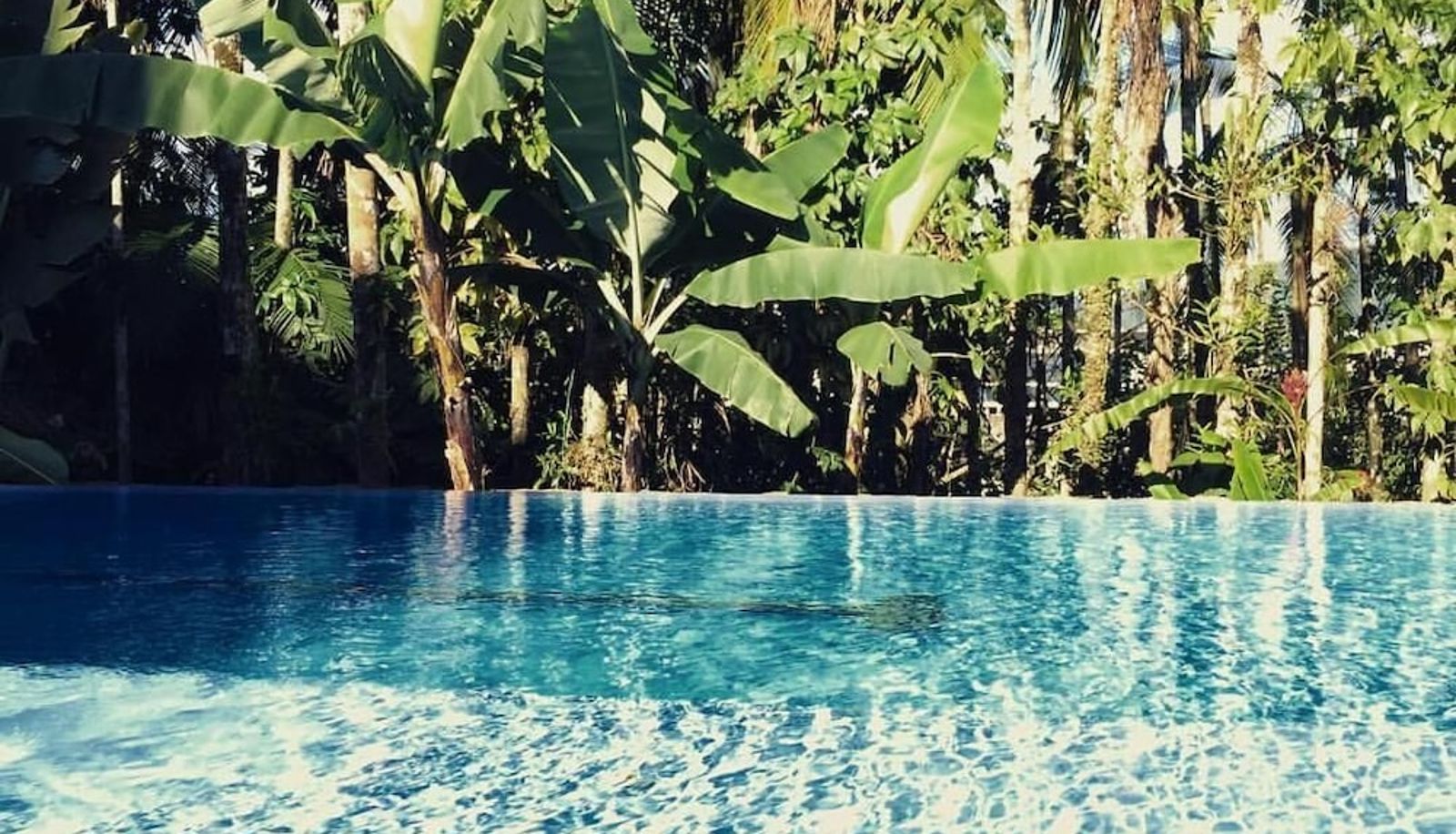 Pool - Timbó Park Hotel