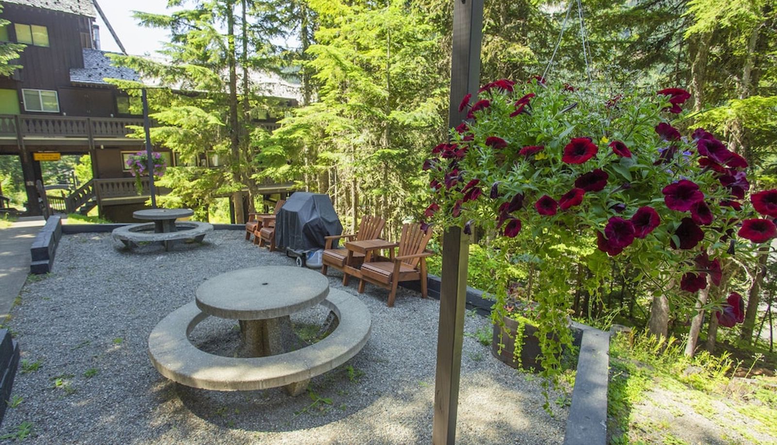Info - Crystal Chalets Condominiums at Crystal Mountain Ski Resort