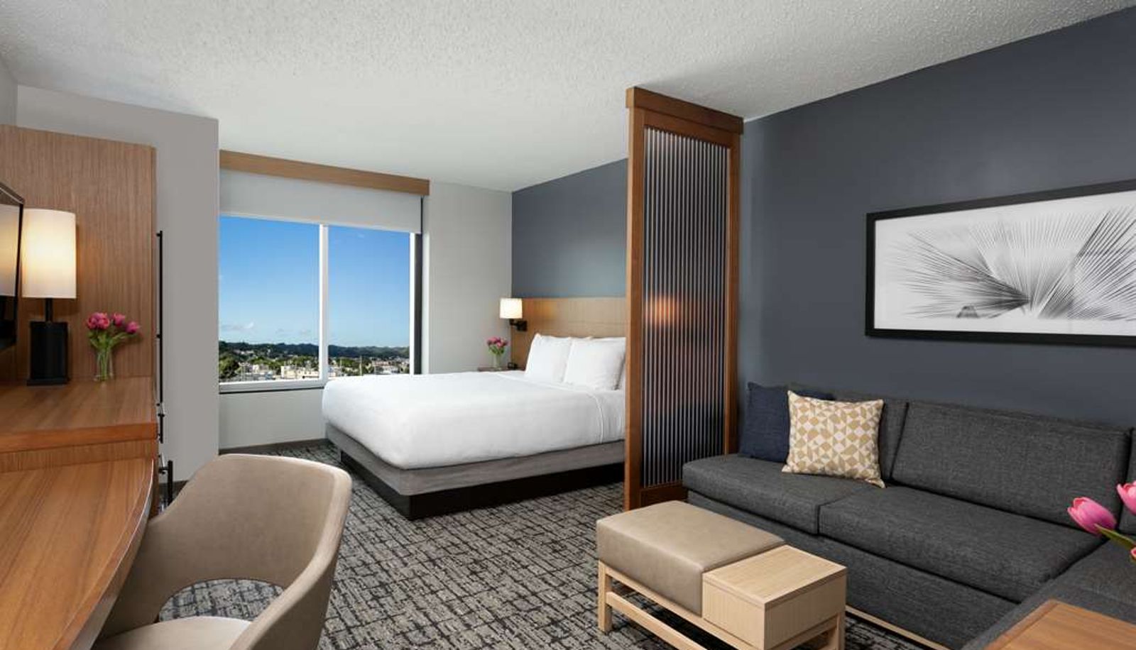 Room - Hyatt Place Manati