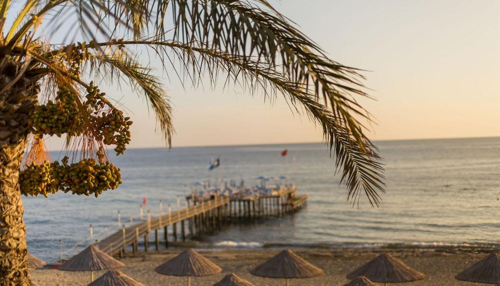 Strand - Club Dem Spa & Resort Hotel - All Inclusive