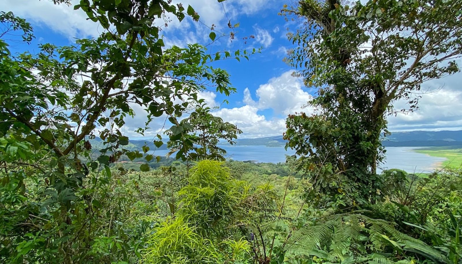 Giardino - Arenal Garden Lodge