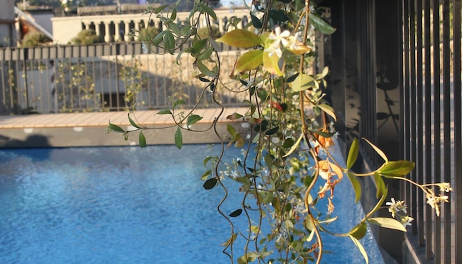 Pool - Casa Granados Boutique Hotel