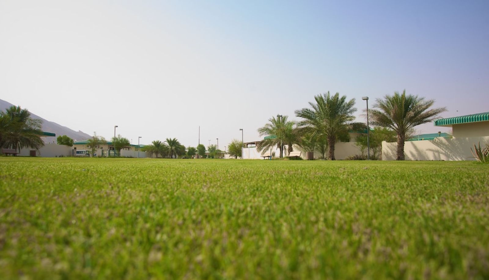 Tuin - Green Mubazzarah Chalets