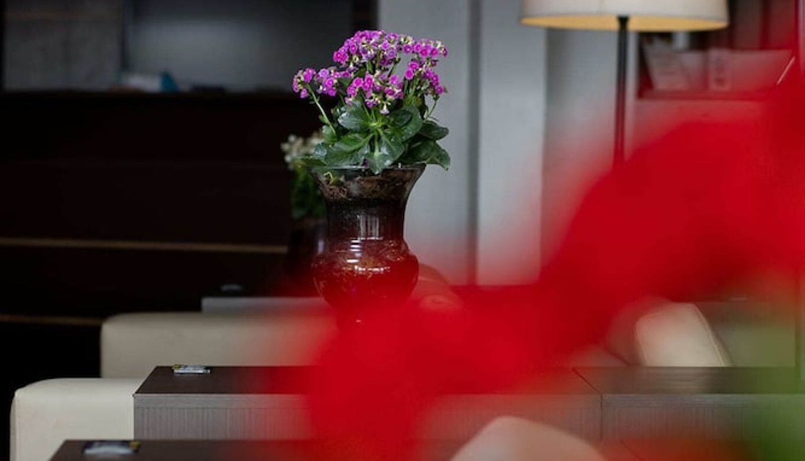 Receptie - Hotel 10 Itajaí
