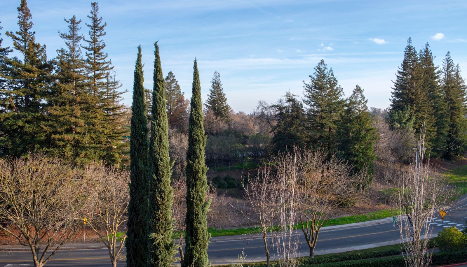 Pokój - The Westin Sacramento Riverfront Hotel and Spa