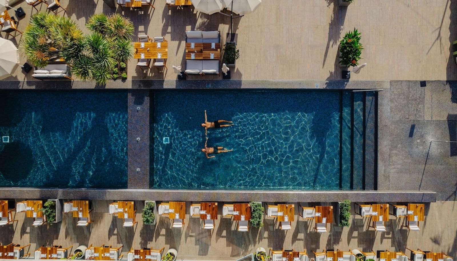 Pool - Saccharum Resort