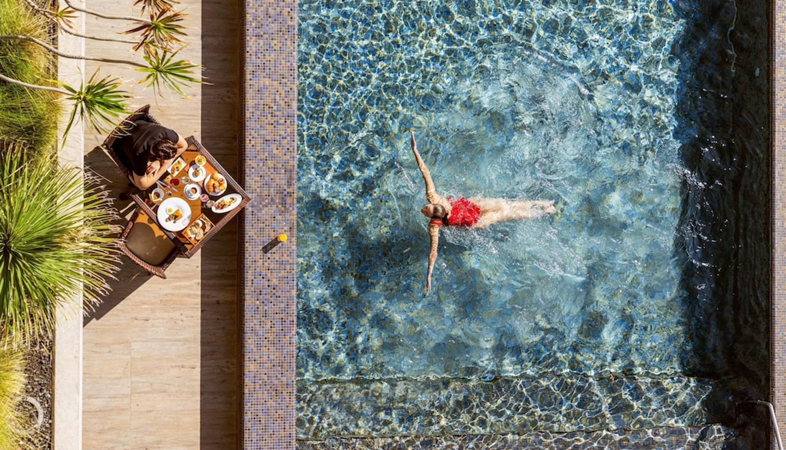 Pool - Saccharum Resort