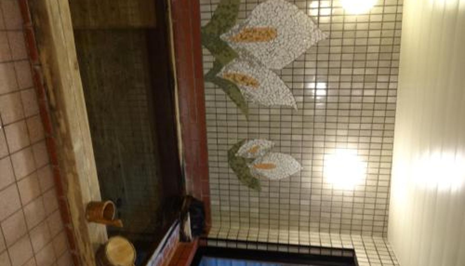 Info - Mizubasho no Yado Higashi
